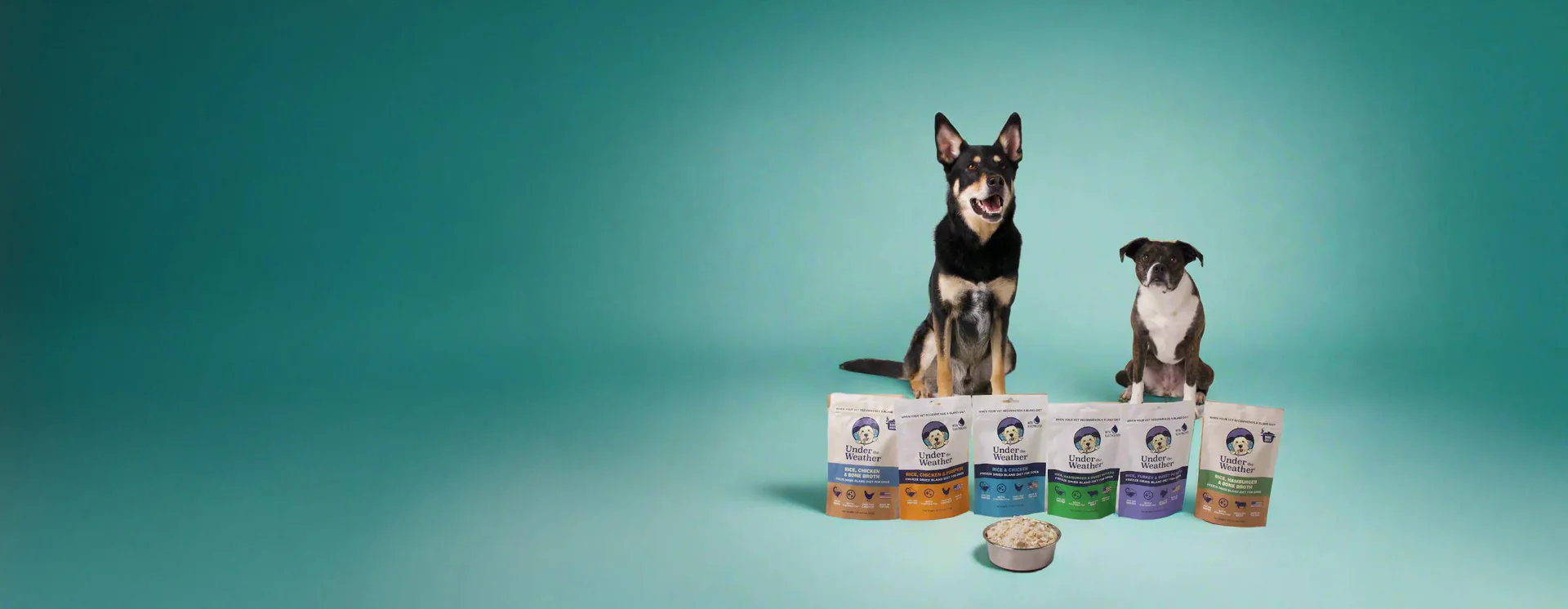 Elevate Your Pet's Daily Wellness